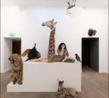  Deuil pour deuil Faïence de Serena Carone et pièces de la collection d’animaux naturalisés de Sophie Calle.