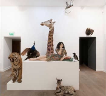  Deuil pour deuil Faïence de Serena Carone et pièces de la collection d’animaux naturalisés de Sophie Calle.